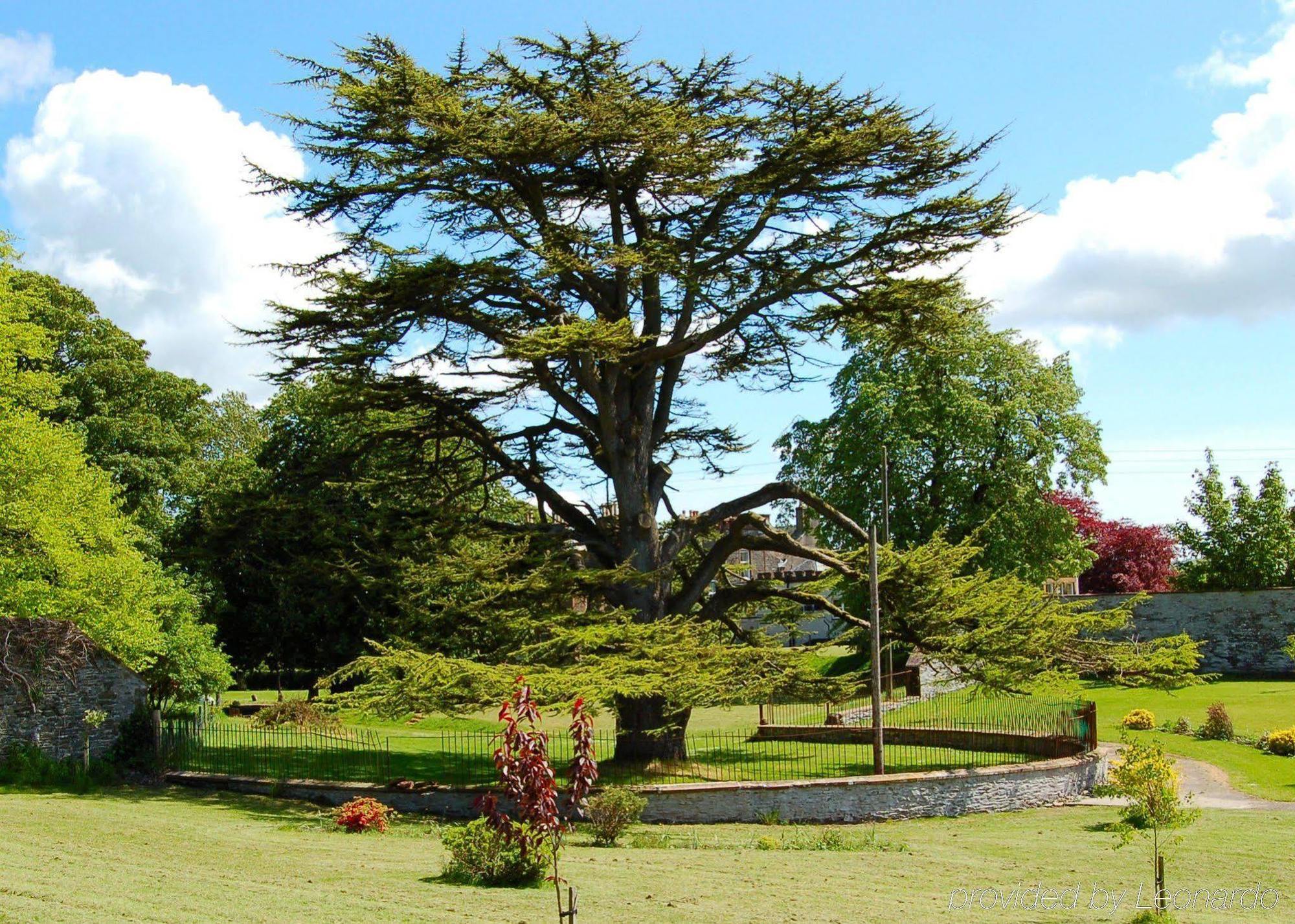 The Urr Valley Country House Hotel Castle Douglas Extérieur photo